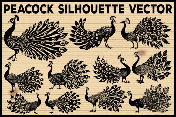Peacock Silhouette Vector Bundle